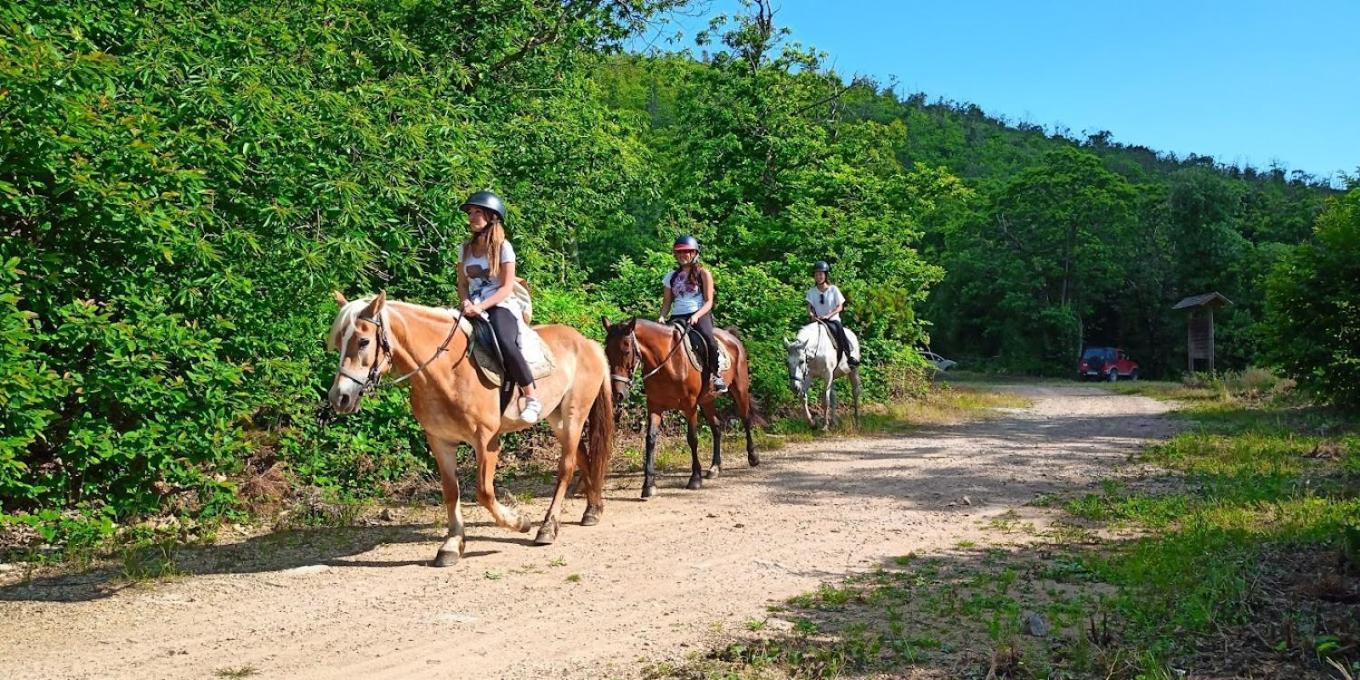 Agriturismo Poggio al Tesoro Crespina Esterno foto