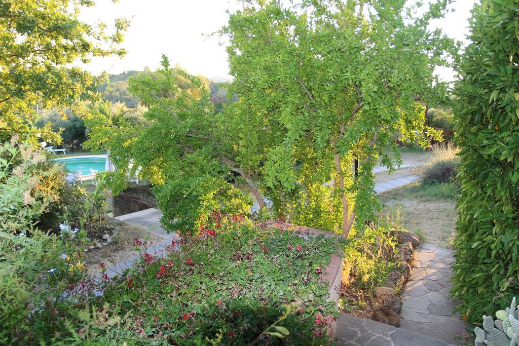 Agriturismo Poggio al Tesoro Crespina Esterno foto